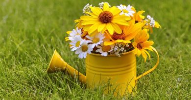 Ernst-Engelbrecht-Greve-Preis für Engagement im ländlichen Raum gelbe Gießkanne mit Blumenstrauß