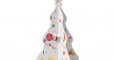 24 gute Taten Adventskalender für gemeinnützige Projekte