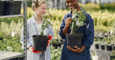 Förderprogramm Neulandgewinner 2026: bis zu 50.000 Euro für lokale Engagementprojekte zwei Menschen mit Pflanzen