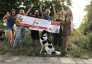 Gewinner des Pflanzwettbewerbs Deutschland summt!